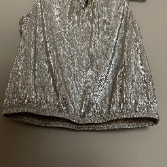 Express, Size M, Sleeveless, Metallic, Blouson Bottom Top - Picture 8 of 9